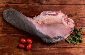 LENGUA xKG