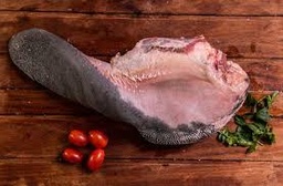 [54] LENGUA xKG